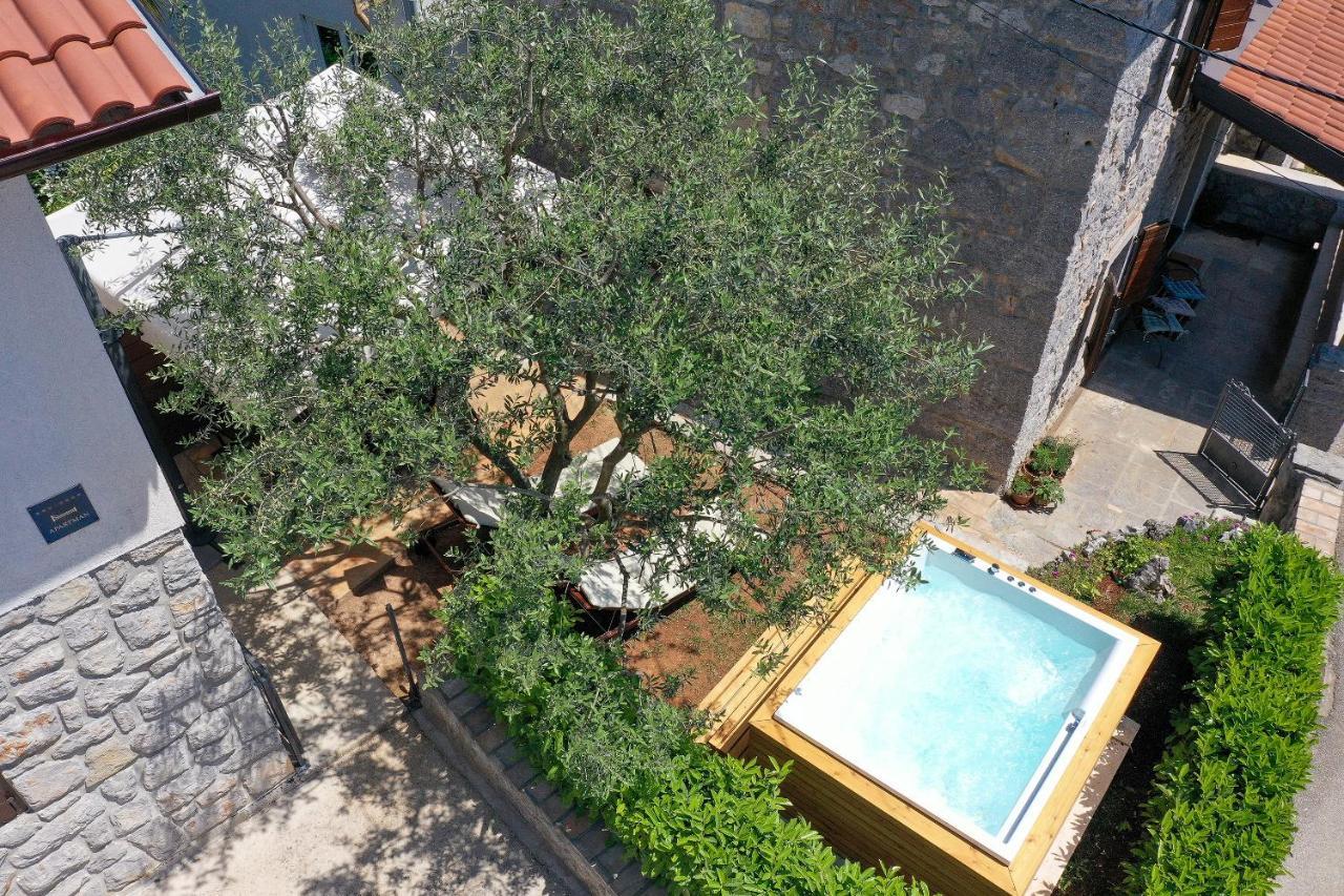 Villa Fani With Jacuzzi Icici Bagian luar foto